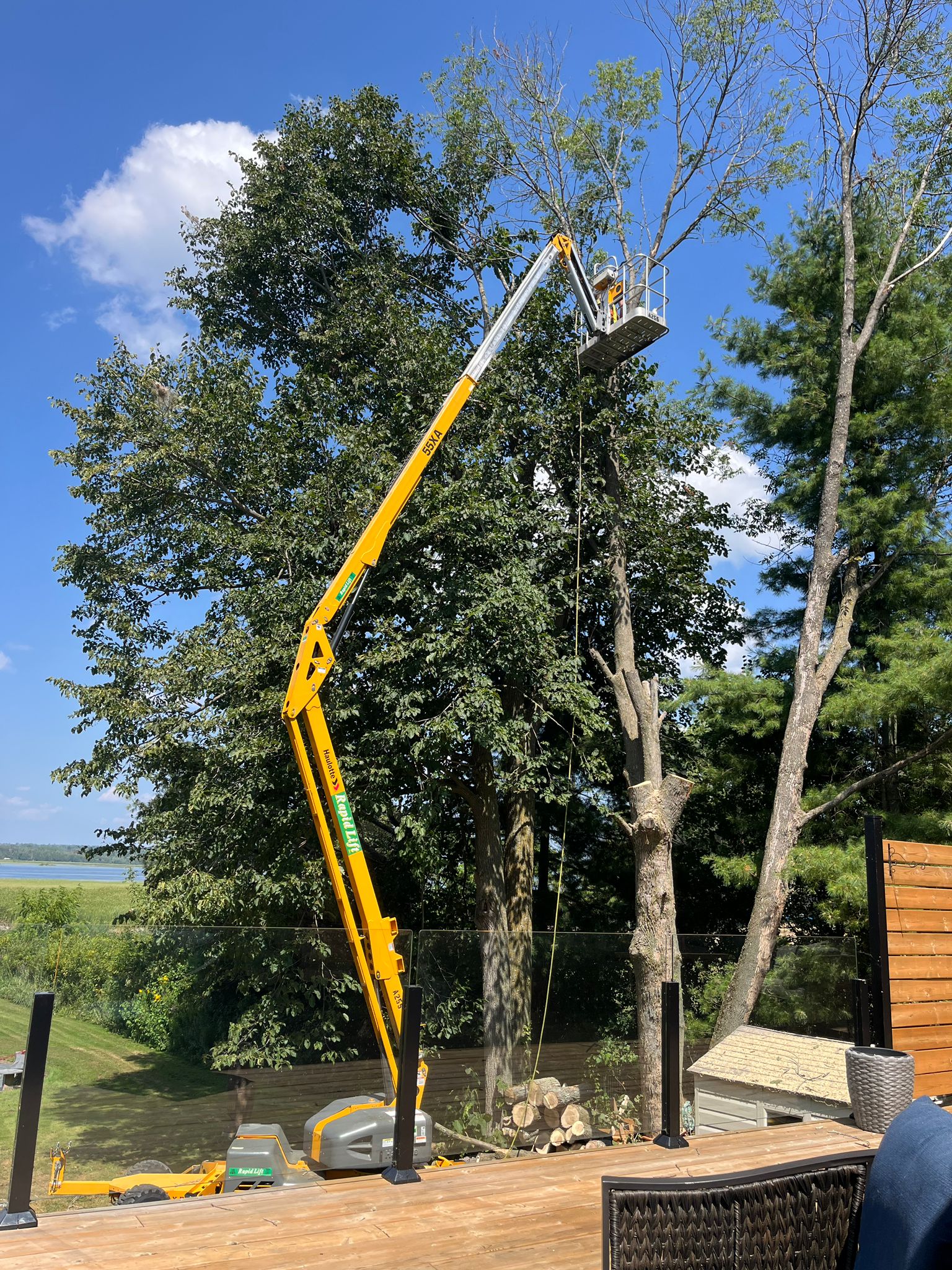 Aerial lift tree service at waterfront property