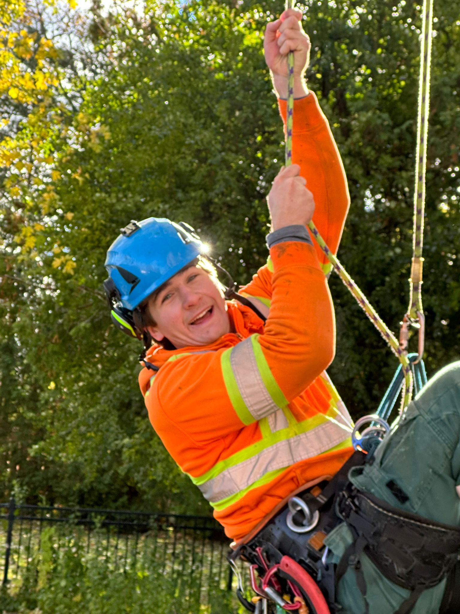 Professional arborist in safety gear