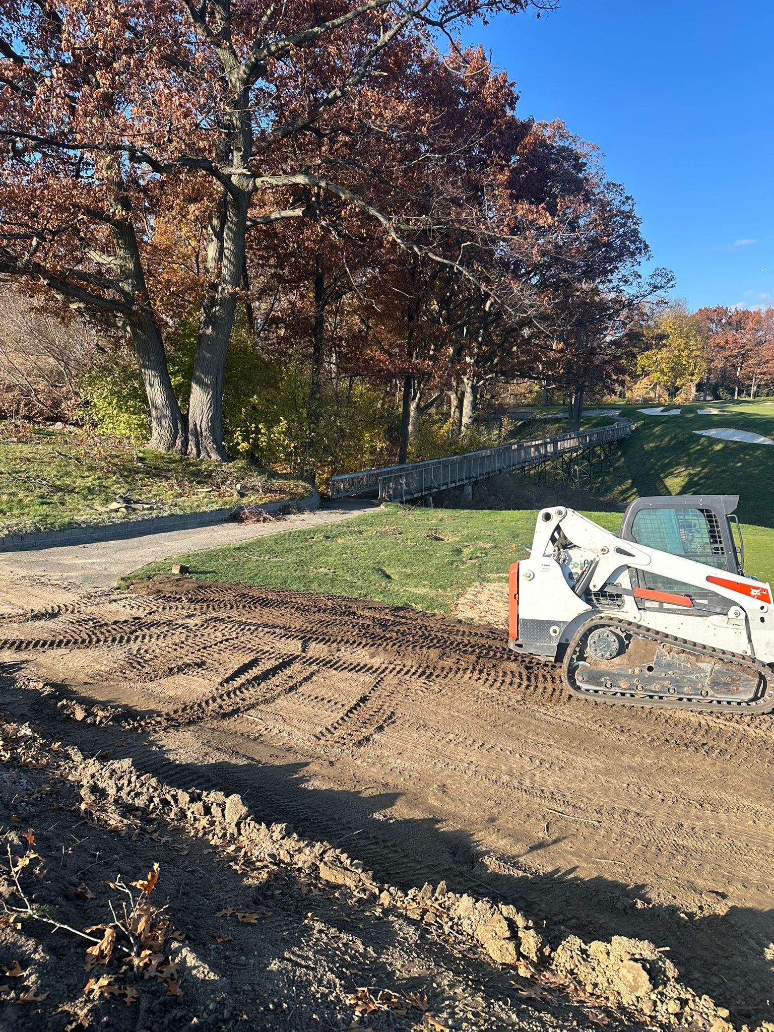 Golf course site after tree removal with complete cleanup