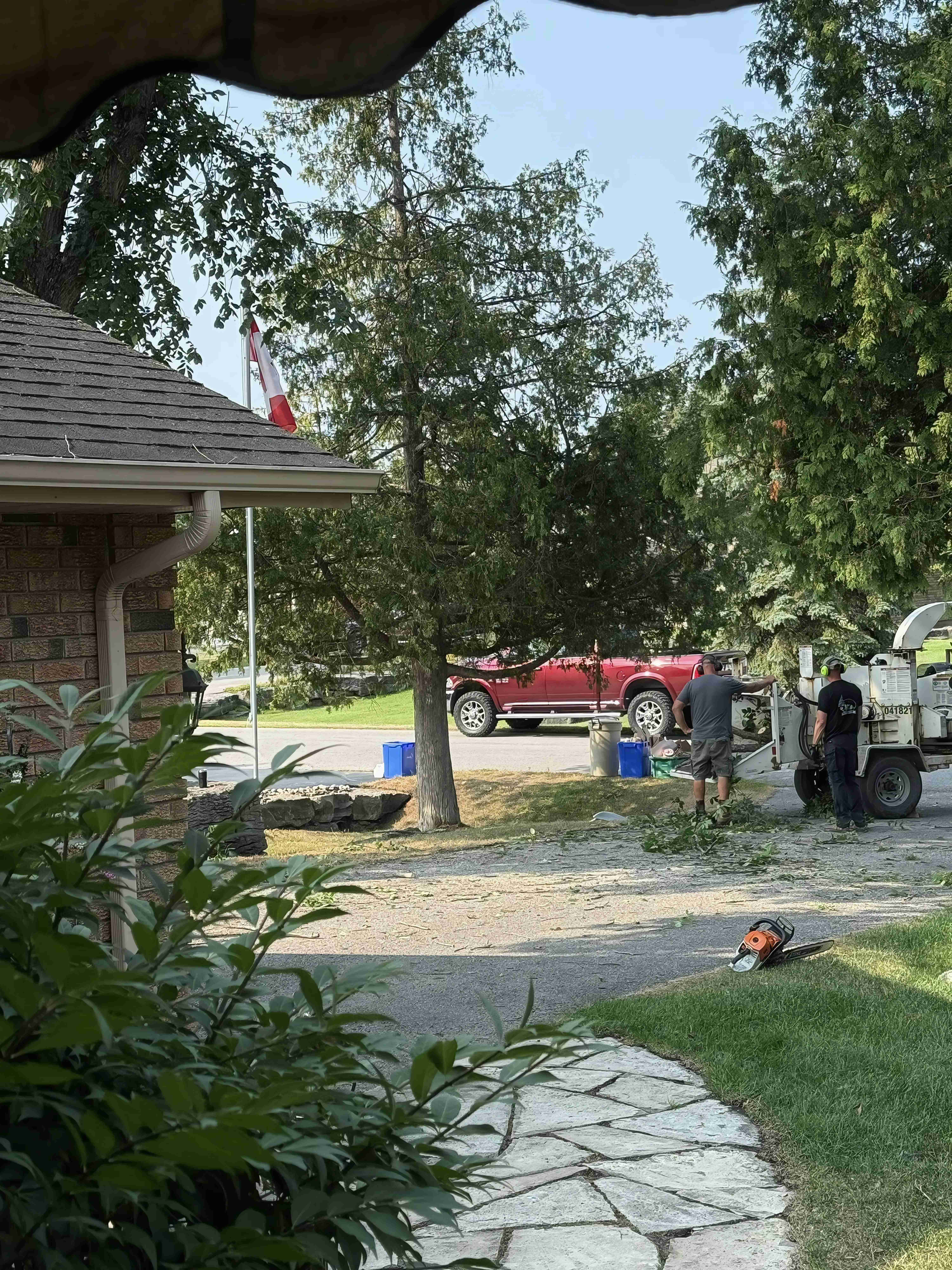 Residential storm damage tree service